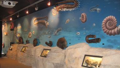 Centro de Interpretaci�n Geol�gica Nautilus 