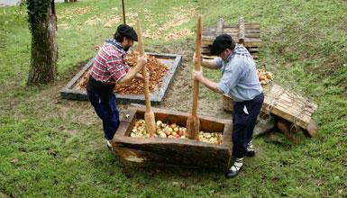 Euskal Sagardoaren Museoa - Sagardoetxea