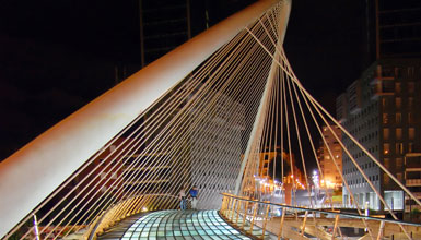 Zubizuri Bridge