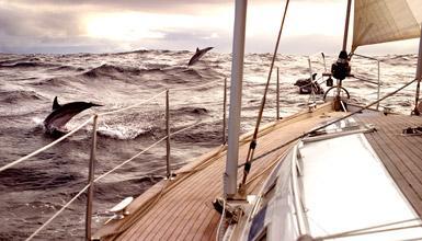 Escucha la llamada del mar