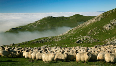 Territorio Idiazabal