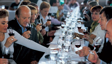 Curso de iniciaci�n a la cata