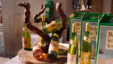 Denominaci�n de Origen Bizkaiko Txakolina