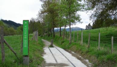 V�a Verde de Mutiloa-Ormaiztegi