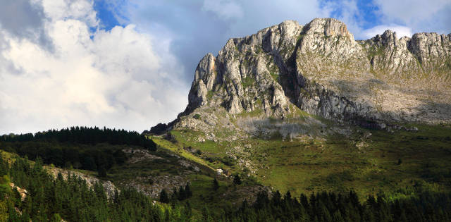 Gorbeia
