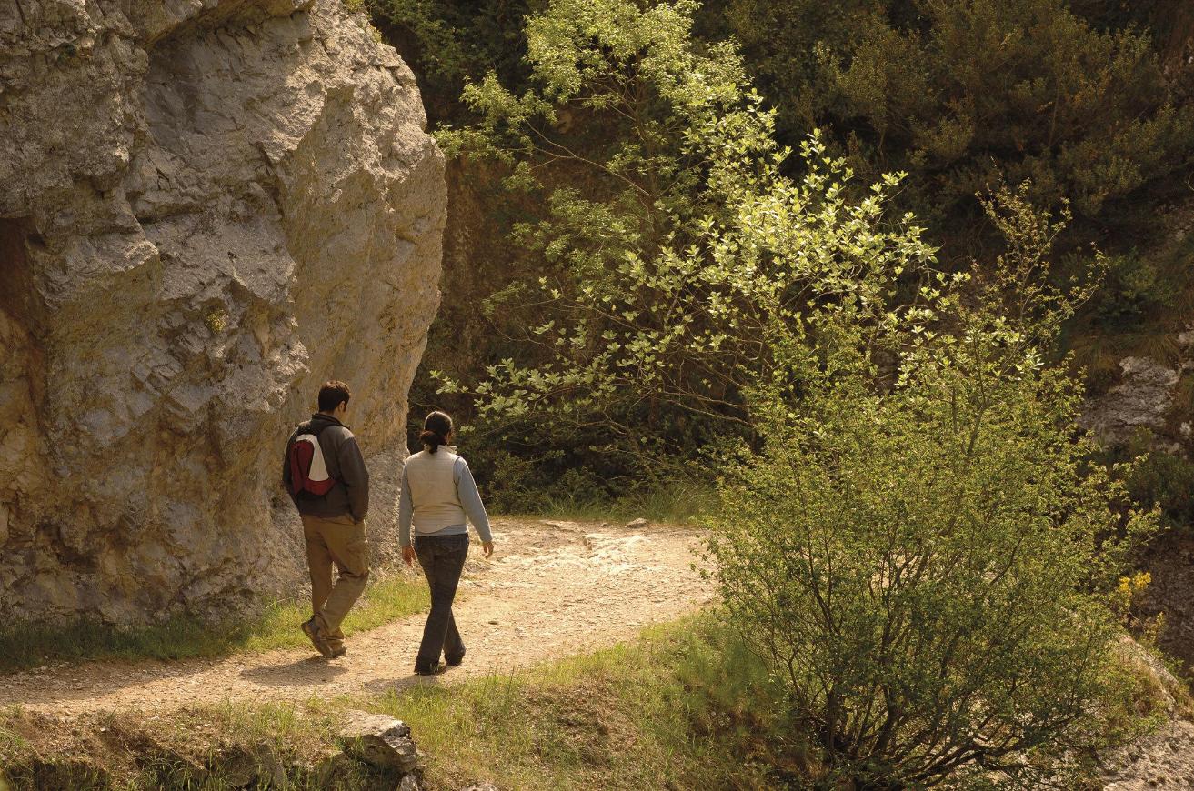 Sentier de la rivi�re Pur�n
