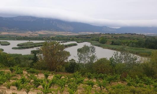 Lagunas de Laguardia 
