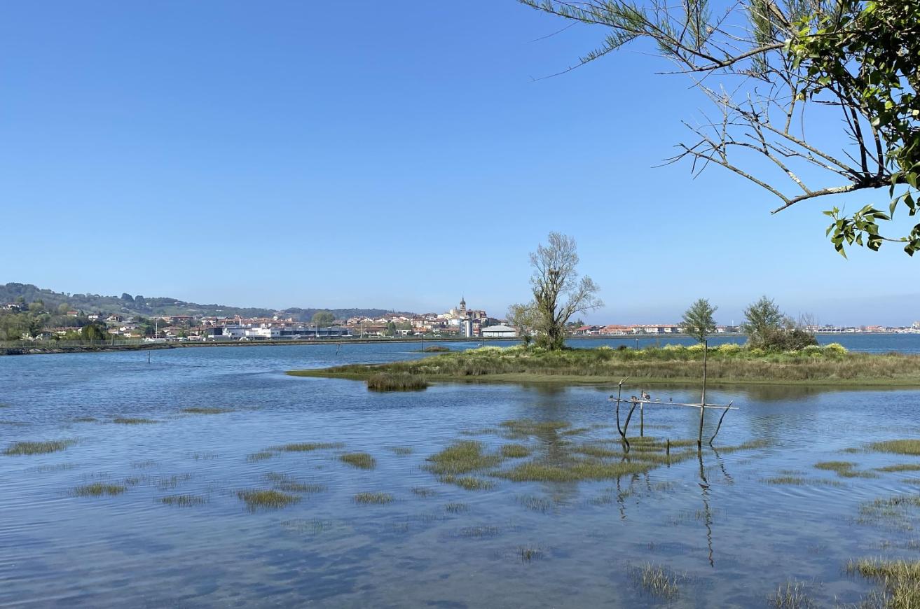 Plaiaundi