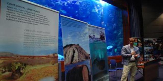 Underwater Wine Cellar