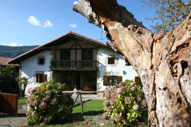 Txakoli de Bakio Visita y cata en bodega