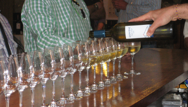 Bakioko txakolina. Bisita eta dastatzea upategian