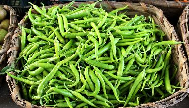 Guindillas de Ibarra