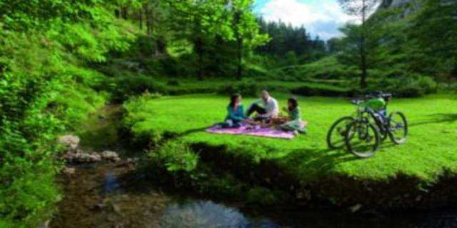 Piknika gurpil gainean: Gorbeiaren sekretuak btt-n. Piknika gurpil gainean: Gorbeiaren sekretuak btt-n.