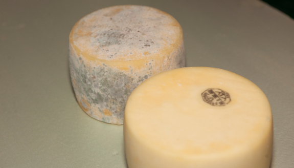 Gazta erdia 13.000 &euro;-gatik? Idiazabal gazta, bere sekretuak eta dastatzea Goierrin