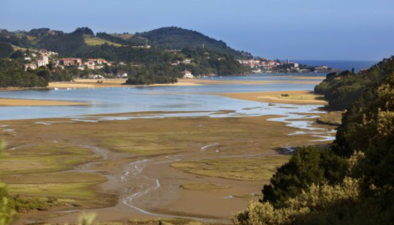 Ruta en barco por Urdaibai