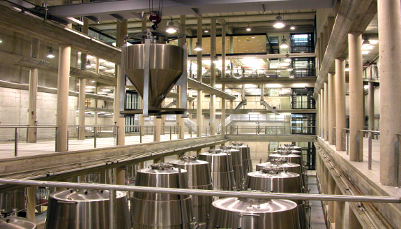 Architecture and Wine in Rioja Alavesa, tasting at the Baigorri winery