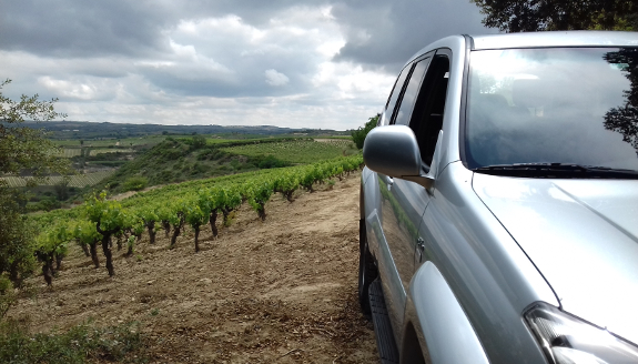 Ausflug in die Weinberge mit Allradfahrzeug, Picknick und Kellereibesuch bei Bodegas Palacio