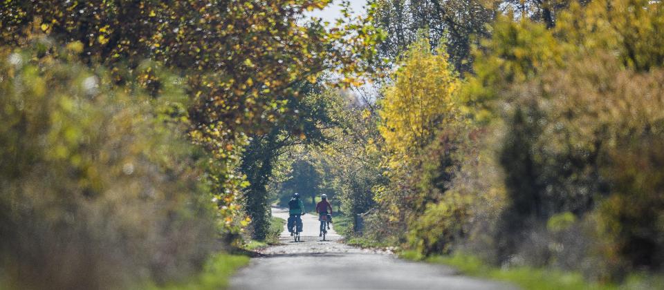 Vitoria-Gasteiz > Arlab&aacute;n TARTEA 