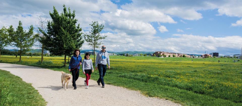 Gasteizko Eraztun Berdea