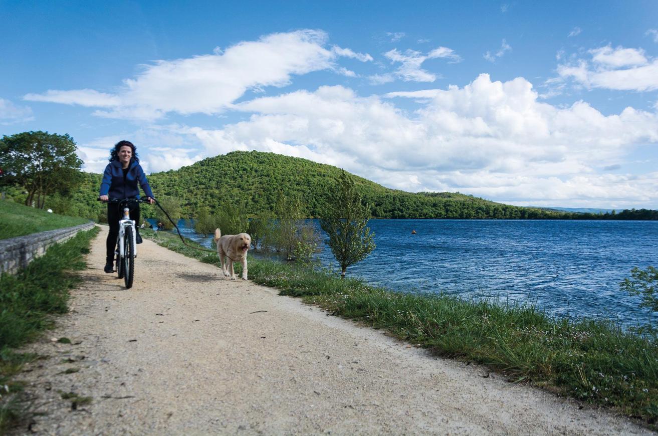Embalse de Ull�barri-Gamboa con perro