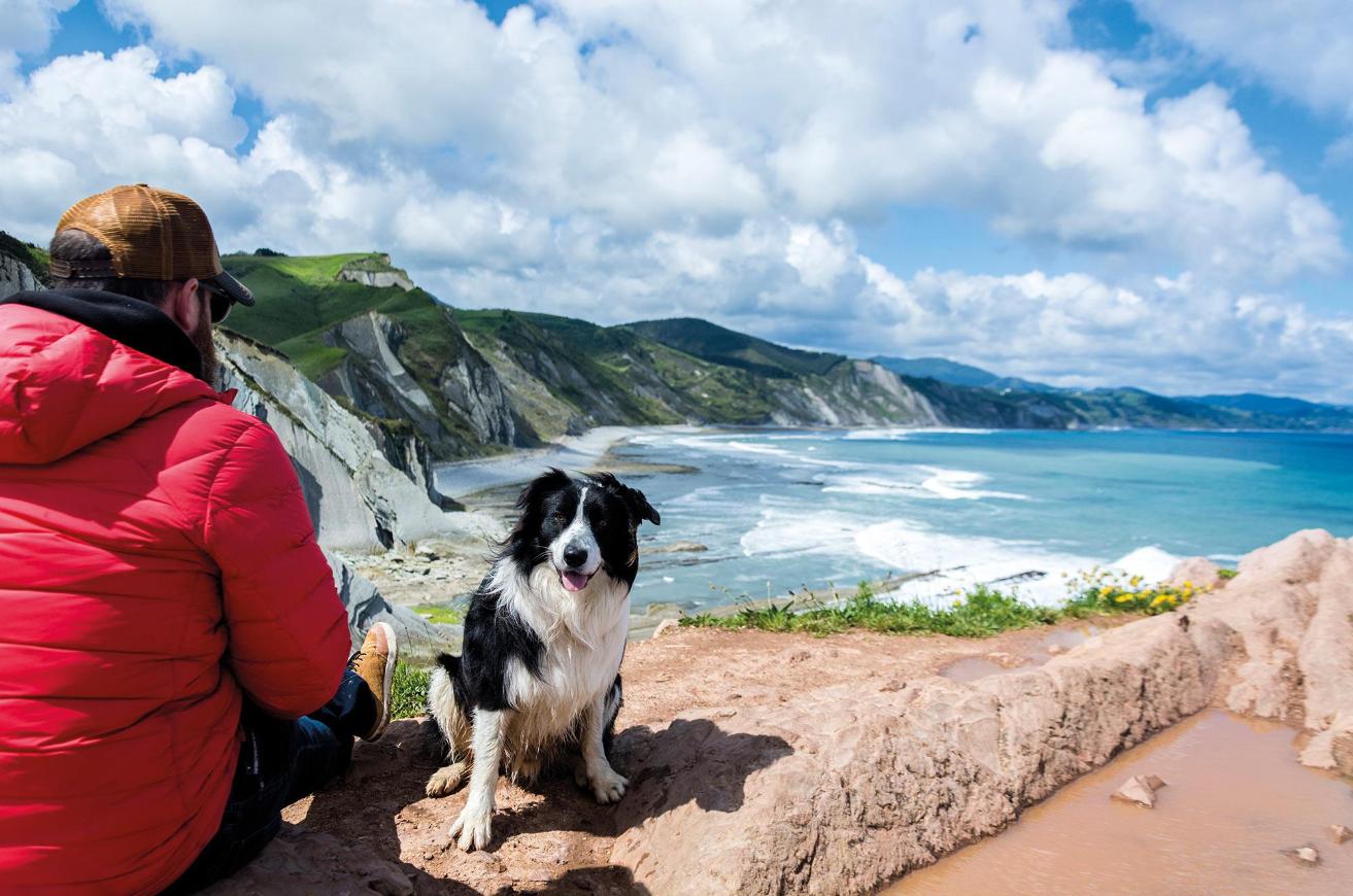 The Flysch with a dog