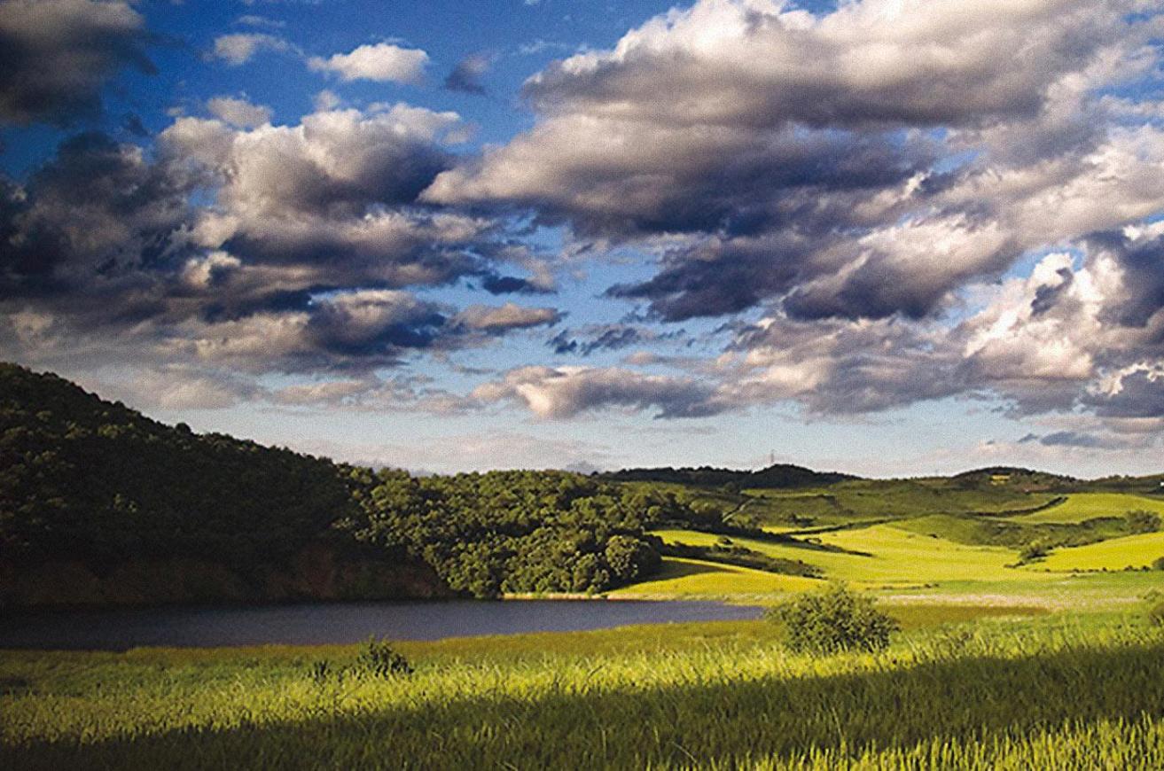 Caicedo Yuso eta Arreoko Lakua