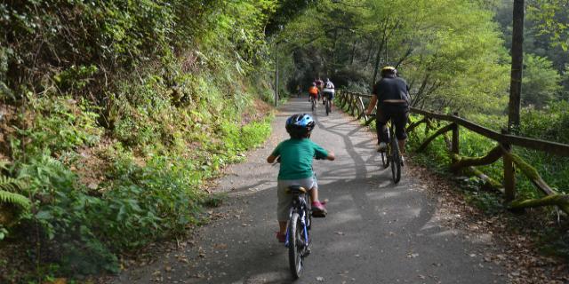 V�a Verde de Arditurri