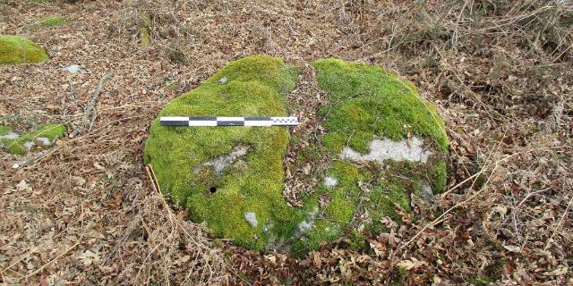 Oketa / Argazkia: Zigoitia.eus