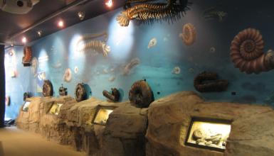 Geoparque en familia