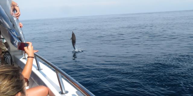 Zetazeoak begiztatzea