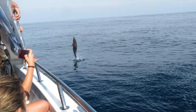 Zetazeoak begiztatzea itsasontziz