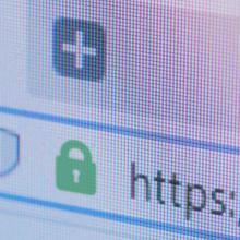 Imagen de la url de una p&aacute;gina web segura vista en un navegador, con el icono de candado, que representa las buenas pr&aacute;cticas de navegaci&oacute;n segura y unificada.