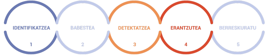 Irudia, zenbait zirkulurekin, non proiektuaren exekuzioa hobetzen duten zibersegurtasun dimentsioak irudikatzen diren.