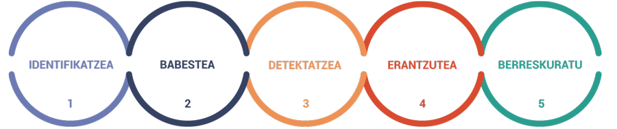 Irudia, zenbait zirkulurekin, non proiektuaren exekuzioa hobetzen duten zibersegurtasun dimentsioak irudikatzen diren.