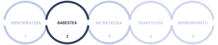 Irudia, zenbait zirkulurekin, non proiektuaren exekuzioa hobetzen duten zibersegurtasun dimentsioak irudikatzen diren.