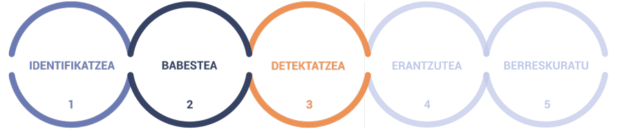 Irudia, zenbait zirkulurekin, non proiektuaren exekuzioa hobetzen duten zibersegurtasun dimentsioak irudikatzen diren.
