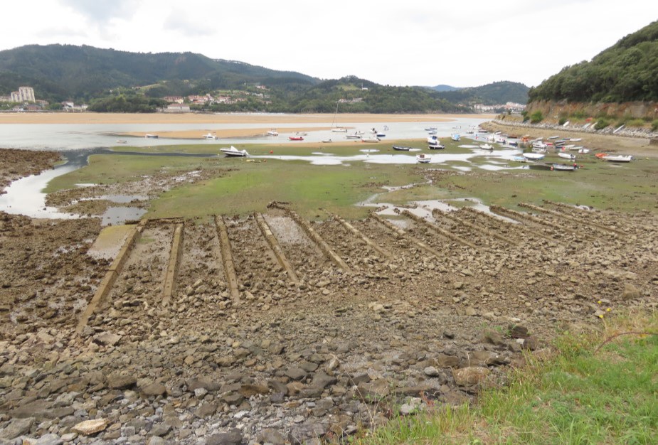 Aguas de transici&oacute;n y costeras