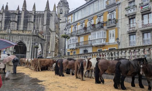 San Tomas azoka Lekeition