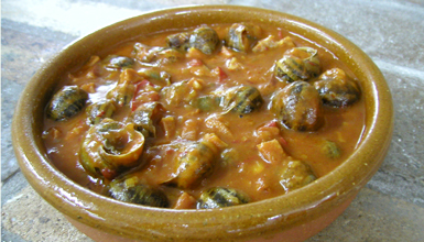 Schnecken: Protagonisten des Tages