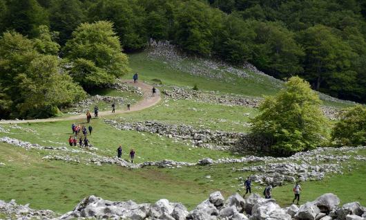 Ruta de las 14 horas