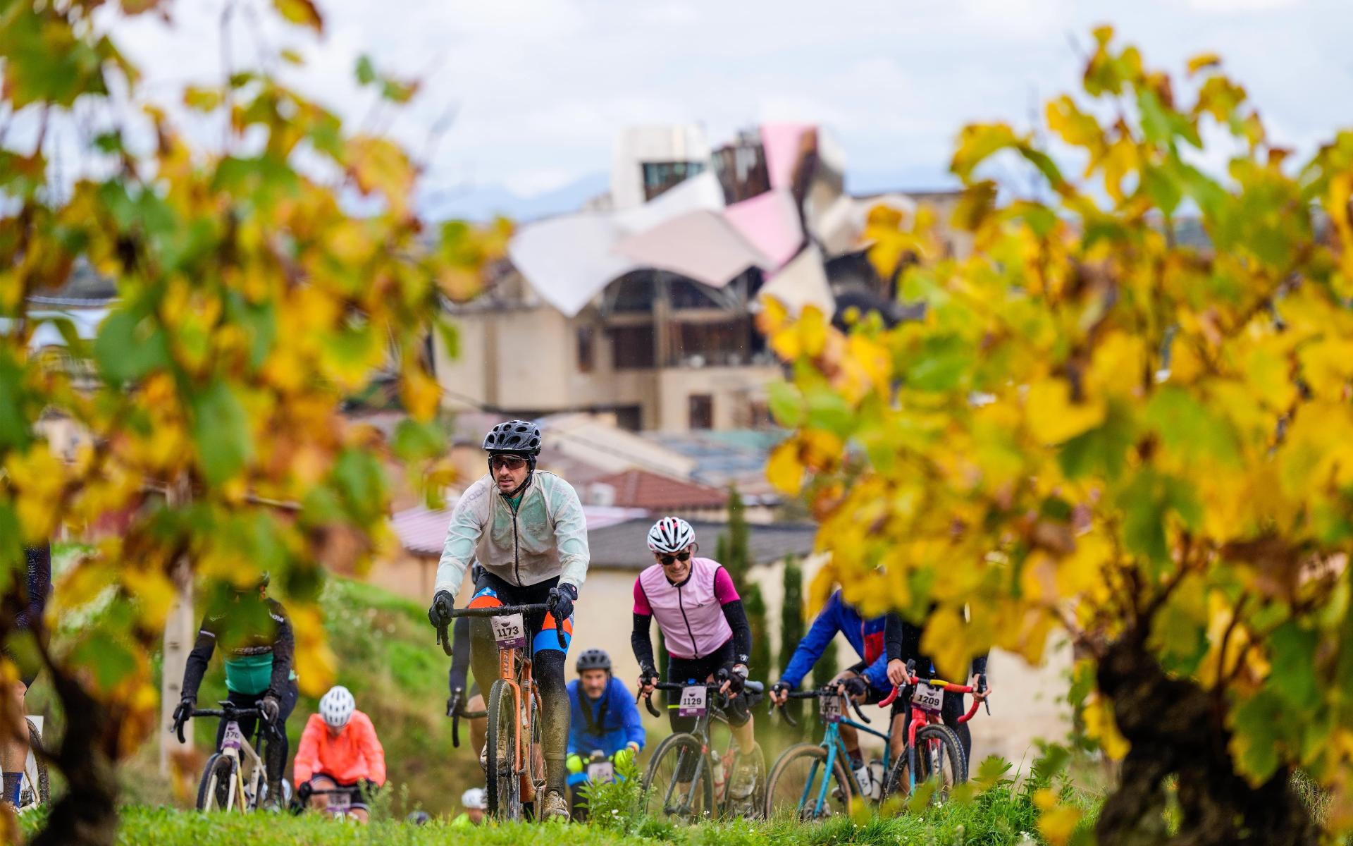 Orbea Gravel Rioja Alavesa