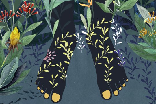 "Kimu / La casa de todos" (preestreno)