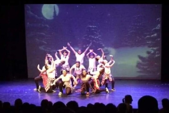 Exhibici&oacute;n de baile