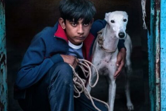 Bergarako Zinekluba: "Ciudad sin sue&ntilde;o"