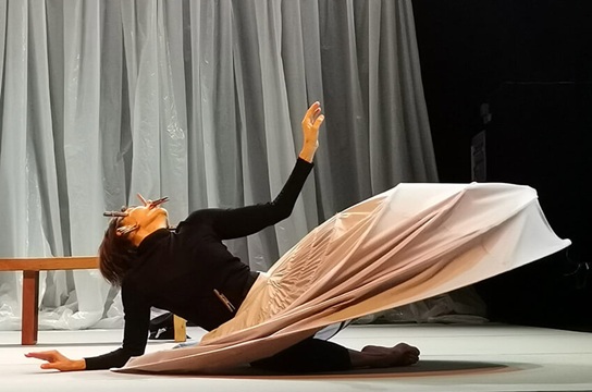 "Zambra de la buena salvaje"