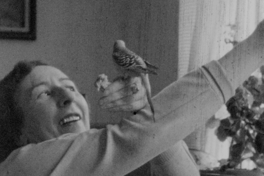 "Araba Mugimenduan: Arabaren ikus-entzunezko memoria"