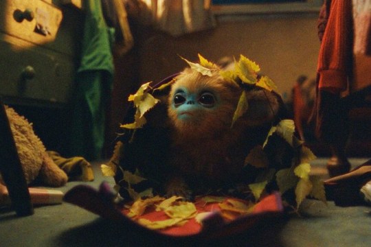 "Ochiren legenda" (Zumarraga)