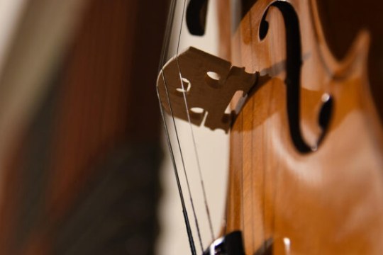 Pablo Sarasate Nazioarteko Biolin Jaialdia 2026