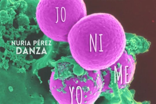 "Nijoyome" (ensayo abierto) "Nijoyome" (ensayo abierto)