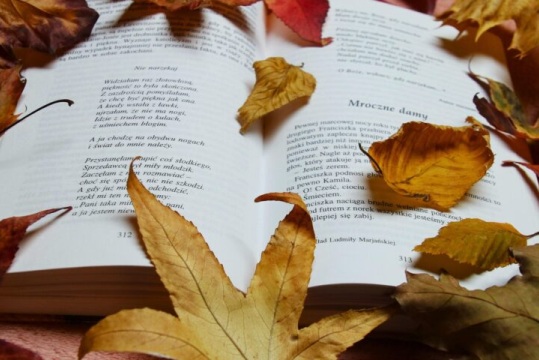 Poesiaren Munduko Eguna eta Antzerkiaren Munduko Eguna